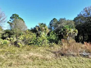 NORTH PORT FL Property