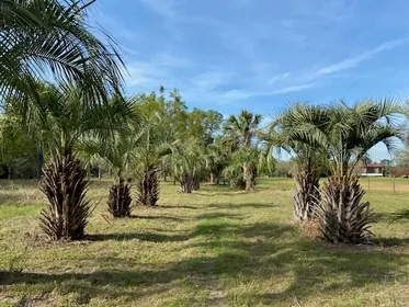 ALACHUA FL Property