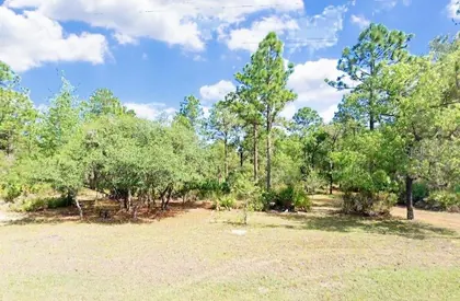 DUNNELLON FL Home