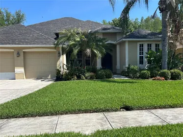 WESLEY CHAPEL FL Home