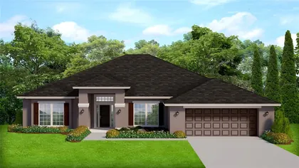 SPRING HILL FL Home