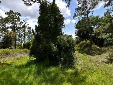 NORTH PORT FL Property