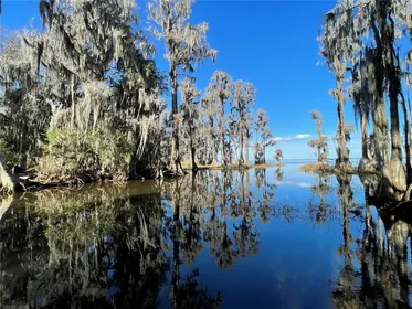 MELROSE FL Property