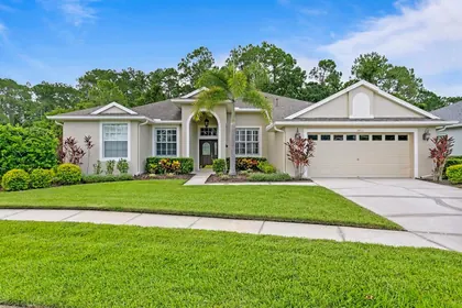 TAMPA FL Home