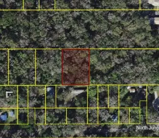 INVERNESS FL Property