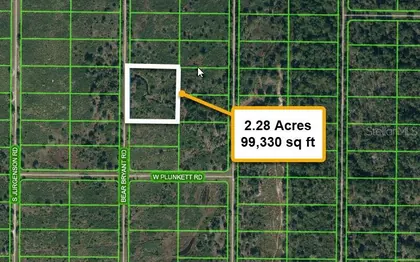 AVON PARK FL Property