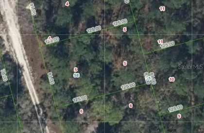 LAKE PLACID FL Property