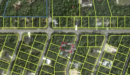 OCKLAWAHA FL Property