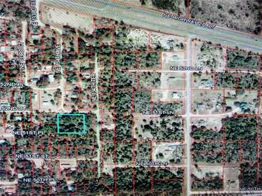 WILLISTON FL Property