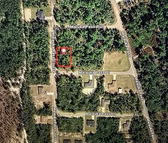 OCKLAWAHA FL Property