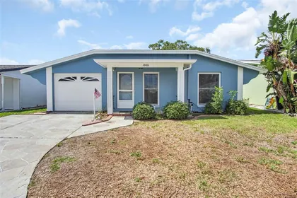DUNEDIN FL Home
