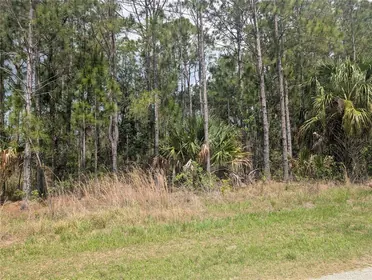 INDIAN LAKE ESTATES FL Property