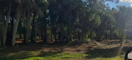 ENGLEWOOD FL Property