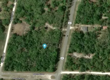 WEBSTER FL Property