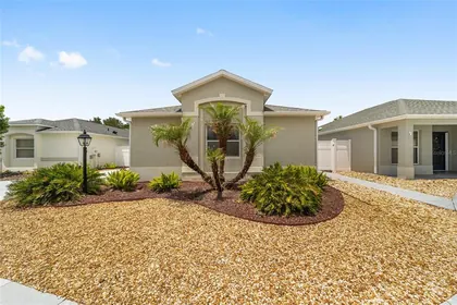 THE VILLAGES FL Home