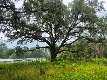 SUMMERFIELD FL Property