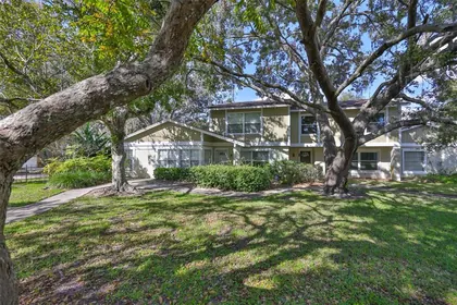 LUTZ FL Home