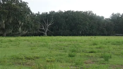 DOVER FL Property