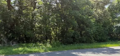 LADY LAKE FL Property