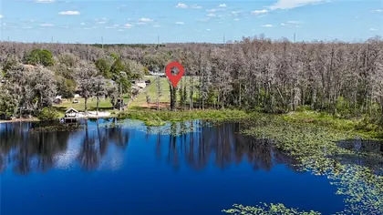 LUTZ FL Property