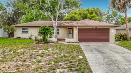 SPRING HILL FL Home
