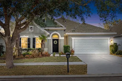 LITHIA FL Home
