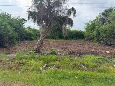 PUNTA GORDA FL Property