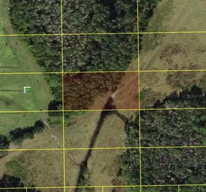 POLK CITY FL Property