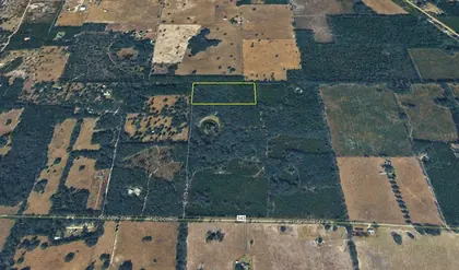 WILLISTON FL Property