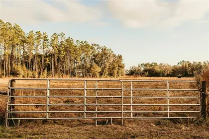 PLANT CITY FL Property