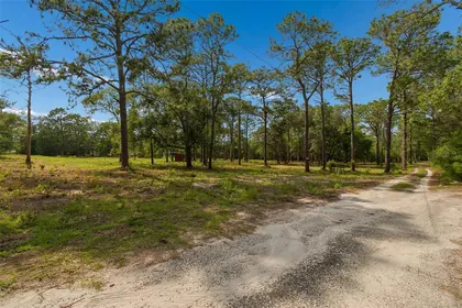 BROOKSVILLE FL Property