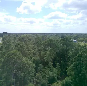 CITRA FL Property