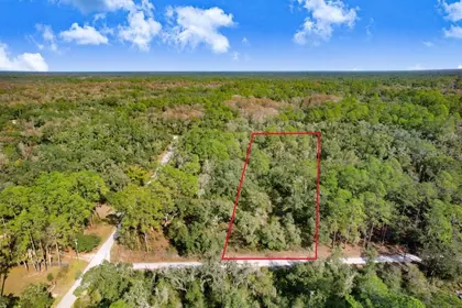 WEBSTER FL Property