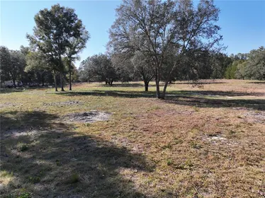 WILLISTON FL Property