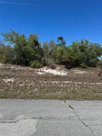 KISSIMMEE FL Property
