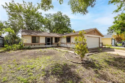 OLDSMAR FL Home
