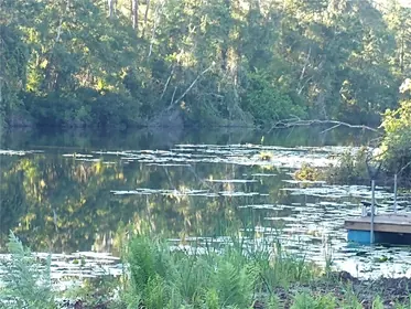 LAND O LAKES FL Property