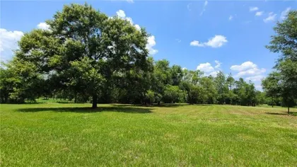 DADE CITY FL Property