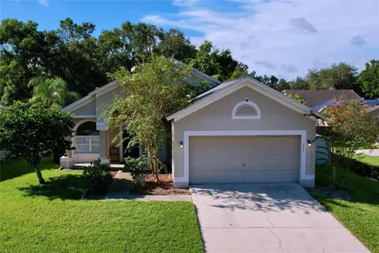 VALRICO FL Home