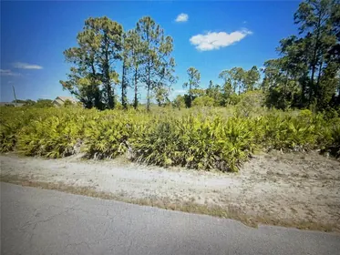LEHIGH ACRES FL Property