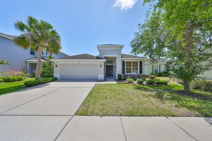 LITHIA FL Home