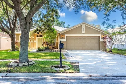 VALRICO FL Home