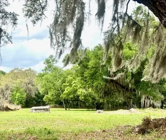 POLK CITY FL Property