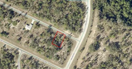 OCKLAWAHA FL Property