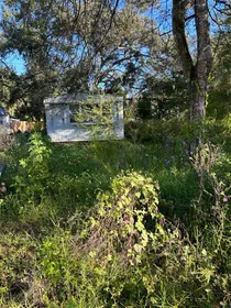 ZEPHYRHILLS FL Home