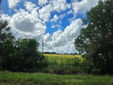 ARCADIA FL Property