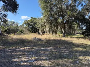 MASCOTTE FL Property