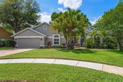 SAFETY HARBOR FL Home