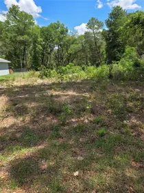 DUNNELLON FL Property