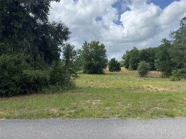 ALTOONA FL Property